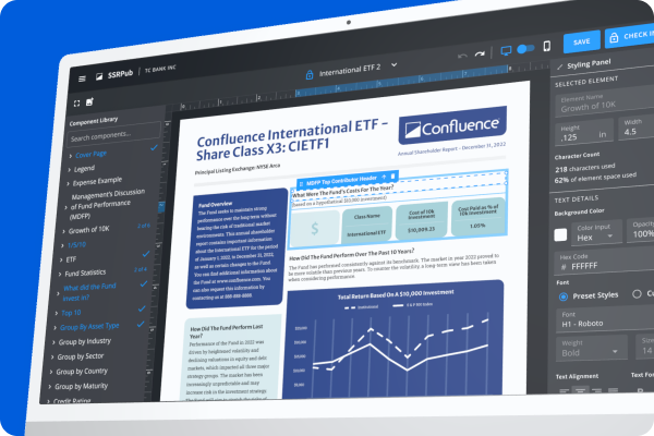 Confluence SSRPUB web app report preview.